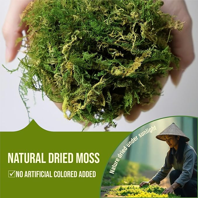 5Oz Moss for Reptiles, Moss for Terrarium, Sphagnum Moss, Reptile Bedding, Reptile Moss, Frog Moss, Snake Bedding, Moss for Turtle, Snail Substrate, Lizard Substrate, Substrate for Reptile Tank Gardenstory