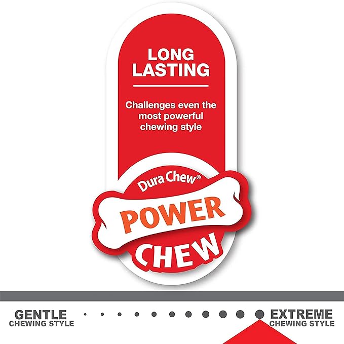 Nylabone Power Chew Flavor Frenzy Bone Chew Toy for Dogs, Indestructible Chew Toys for Aggressive Chewers, Chili Cheese Dog, & Popcorn & Cherry Flavor, Small/Regular - Up to 25 Ibs. (3 Count) - PAWPICO