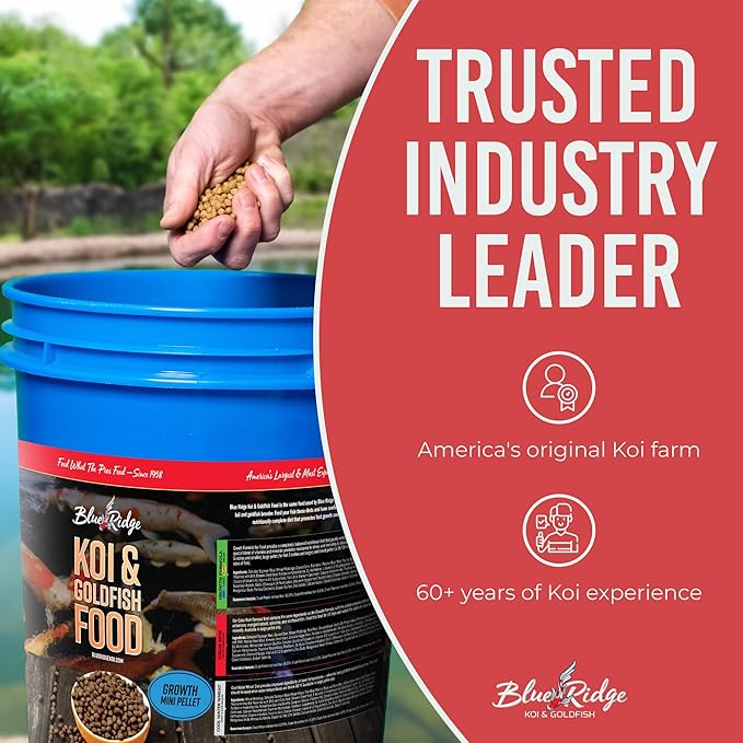 Blue Ridge Koi Fish Food 14lb - Koi Food Mini Growth Formula Goldfish Food, Premium Fish Food for Ponds, Ponds Fish Food, Koi Food Fall and Winter Fish Food, Floating Pond Pellets Fish Food BlueRidgeFishHatchery