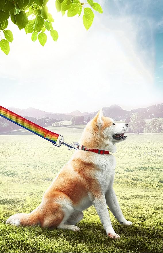 15ft 20ft 30ft 40ft 50ft Long Dog/Puppy Lead Obedience Recall Training Dog Leashes for Small Medium Dogs Camping, Training, Play, or Backyard (20 FT, Rainbow) PETGOGO