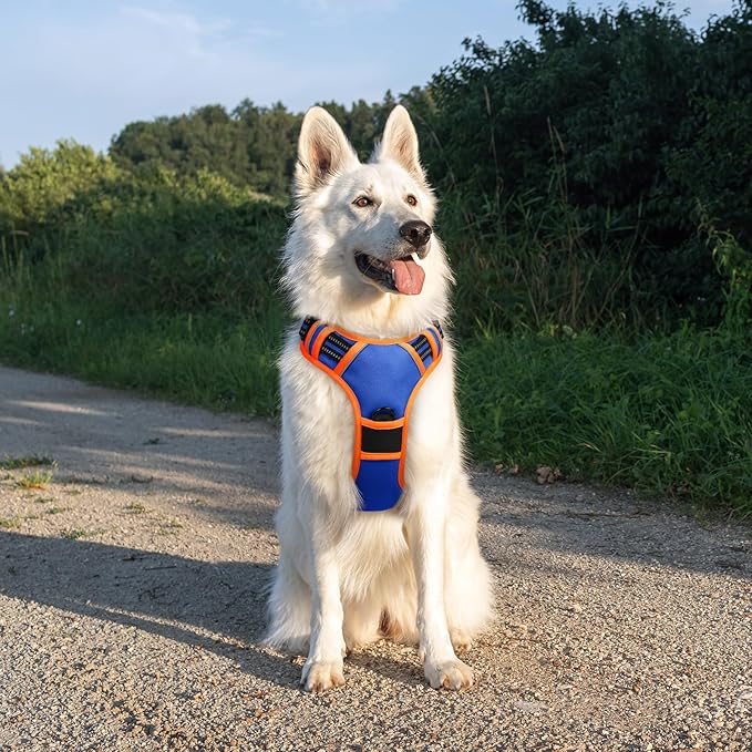 Eagloo Dog Harness for Large Dogs, No Pull Service Vest with Reflective Strips and Control Handle, Adjustable and Comfortable for Easy Walking, No Choke Harness with 2 Metal Rings, Blue & Orange, XL GoExplorewithEagloo