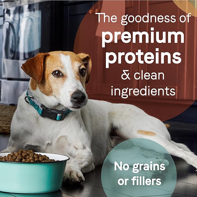 Canidae PURE Limited Ingredient Premium Adult Dry Dog Food, Lamb and Pea Recipe, 4 Pounds, Grain Free - PAWPICO