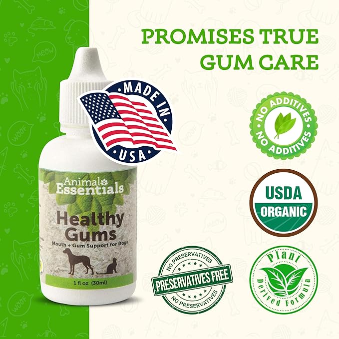 Animal Essentials Healthy Gums for Dogs & Cats - Dental Care, Mouth & Gum Support, Dental Drops, All Natural Pet Supplement, Oral Care - 1 Fl Oz AnimalEssentials