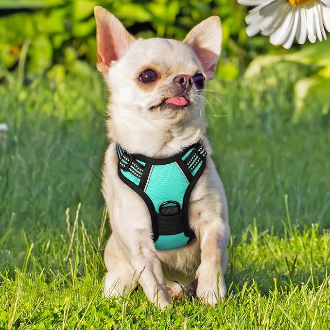 rabbitgoo Dog Harness, No-Pull Pet Harness with 2 Leash Clips, Adjustable Soft Padded Dog Vest, Reflective No-Choke Pet Oxford Vest with Easy Control Handle for Small Dogs, Turquoise, XS - PAWPICO