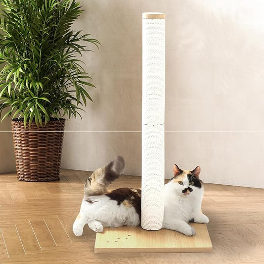 Necoichi 31.5” Tall Cat Scratching Post Kitten Scratcher Paper Rope Scratch Posts Trees with Hanging for Indoor Cats (31.5 inches for Adult Cats, Large, Oak) - PAWPICO