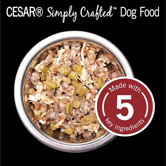 CESAR SIMPLY CRAFTED Adult Soft Wet Dog Food Meal Topper Beef, Chicken, Purple Potatoes, Green Beans & Red Rice, 1.3 oz. Tubs, (Pack of 10) - PAWPICO