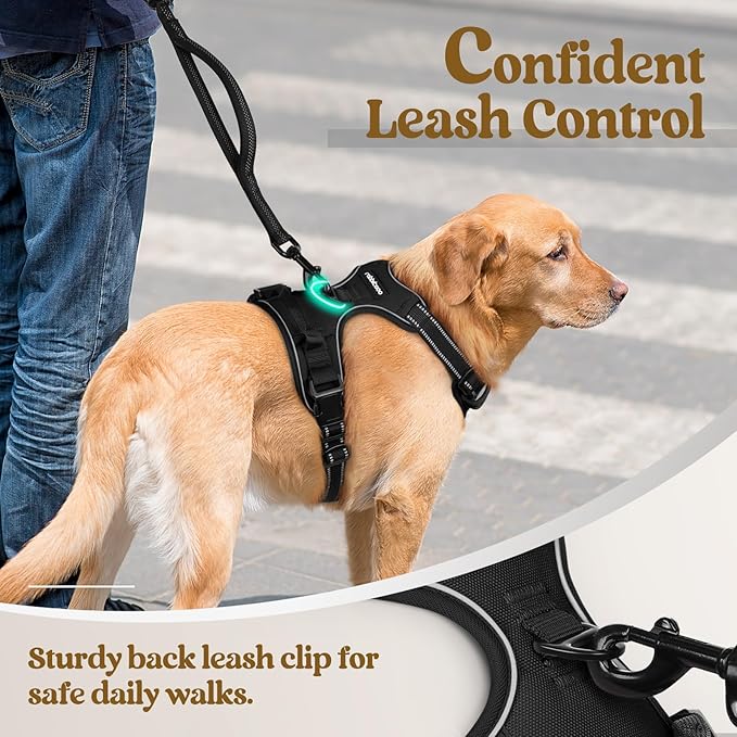rabbitgoo Dog Harness No Pull with 2 Leash Clips, Adjustable Soft Padded, Reflective Oxford No Choke Pet Vest with Easy Control Handle for Large Dogs, Black, XL rabbitgoo