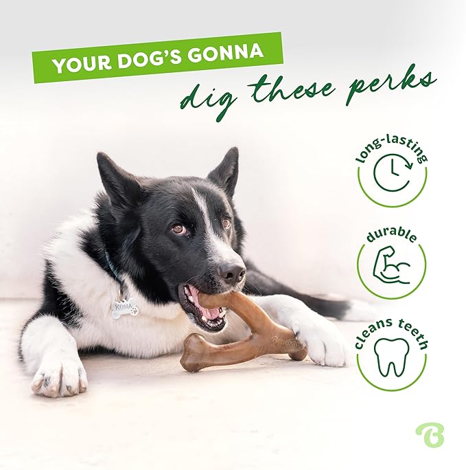 Benebone Wishbone Durable Dog Chew Toy for Aggressive Chewers, Real Peanut, Made in USA, Small, for Any breed - PAWPICO