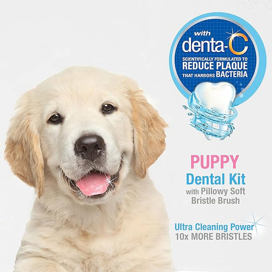Nylabone Advanced Oral Care Puppy Dental Kit with Pillowy Soft-Bristle Toothbrush Peanut Butter (3 Count) Nylabone