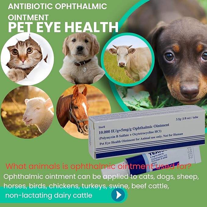 Pet Eye Health Ointment for Dogs, Cats, Cattle, Sheep, Horses, Birds and Puppies, Kittens 1/8 oz /3.5gr - 1 Tube PAWPICO