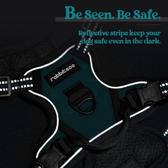 rabbitgoo Dog Harness No Pull with 2 Leash Clips, Adjustable Soft Padded, Reflective Oxford No Choke Pet Vest with Easy Control Handle for Puppy, Blue Coral, XS rabbitgoo