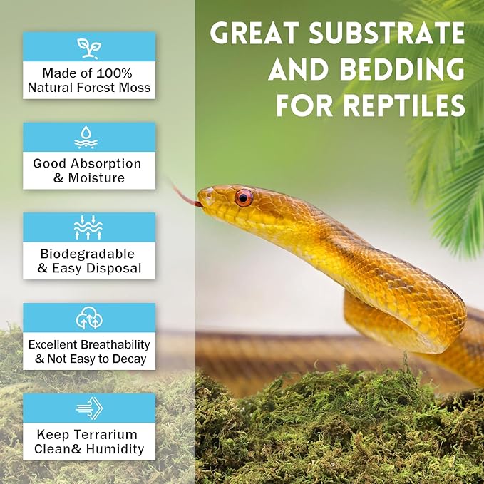 Riare 7 OZ Premium Sphagnum Moss for Reptiles- 10QT Natural Live Moss Reptile Moss Bedding for Terrarium, Hatching, Forest Sphagnum Moss Reptile Substrate for Snakes, Gecko, Turtles, Frogs, Leopard Riare