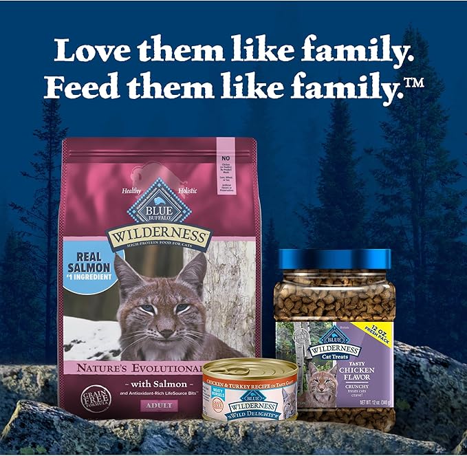 Blue Buffalo Wilderness Natural High Protein Grain Free Salmon Dry Food for Adult Cats 11 lbs. - PAWPICO