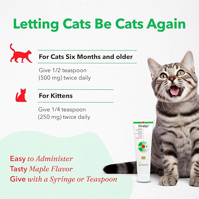 Vetoquinol Viralys Gel L-Lysine Supplement for Cats, 5oz - Cats & Kittens of All Ages - Immune Health - Sneezing, Runny Nose, Squinting, Watery Eyes - Palatable Maple Flavor Lysine Gel Vetoquinol