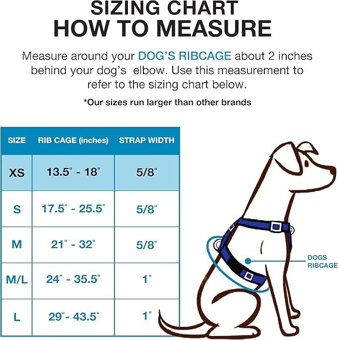 Blue-9 Buckle-Neck Balance Harness, Fully Customizable Fit No-Pull Harness, Ideal for Dog Training and Obedience, Made in The USA, Sky Blue, X-Small Blue-9