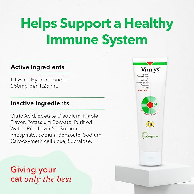 Vetoquinol Viralys Gel L-Lysine Supplement for Cats, 5oz - 2 Pack - Cats & Kittens of All Ages - Immune Health - Sneezing, Runny Nose, Squinting, Watery Eyes - Palatable Maple Flavor Lysine Gel Vetoquinol
