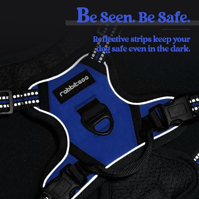 rabbitgoo Dog Harness No Pull with 2 Leash Clips, Adjustable Soft Padded, Reflective Oxford No Choke Pet Vest with Easy Control Handle for Puppy, Dazzling Blue,XS rabbitgoo