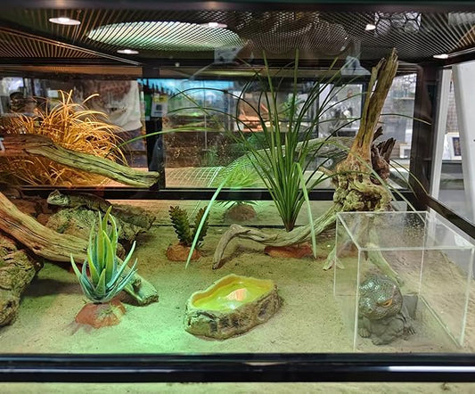 Woyrise Reptile Plants for Terrarium Decor, Amphibian Habitat Artificial Plants Bearded Dragon Tank Accessories fit Crested Gecko Leopard Lizard Chameleon Ball Python Snake Frog - Calamus Woyrise