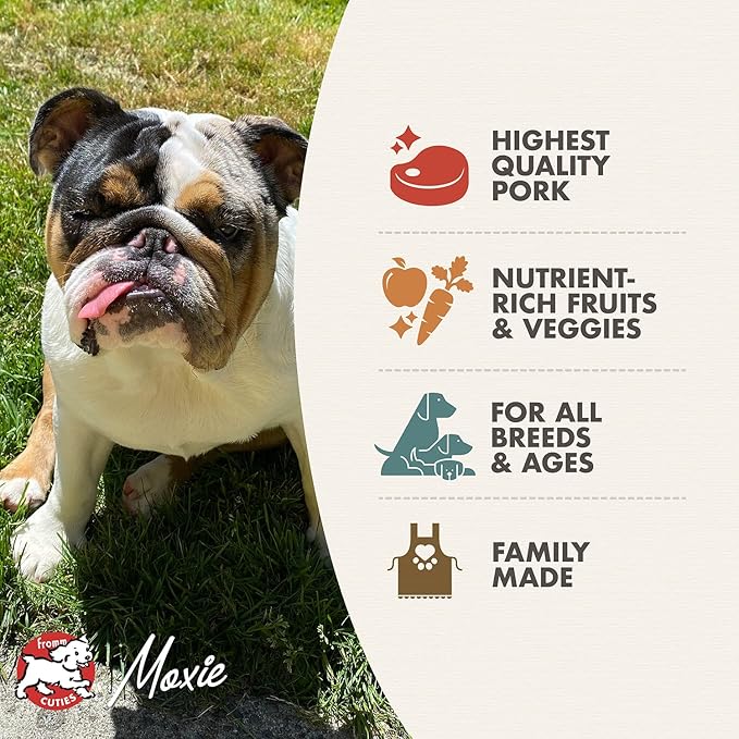 Fromm Four-Star Nutritionals Pork & Peas Dog Food - Premium Dry Dog Food - Pork Recipe - 4 lb - PAWPICO