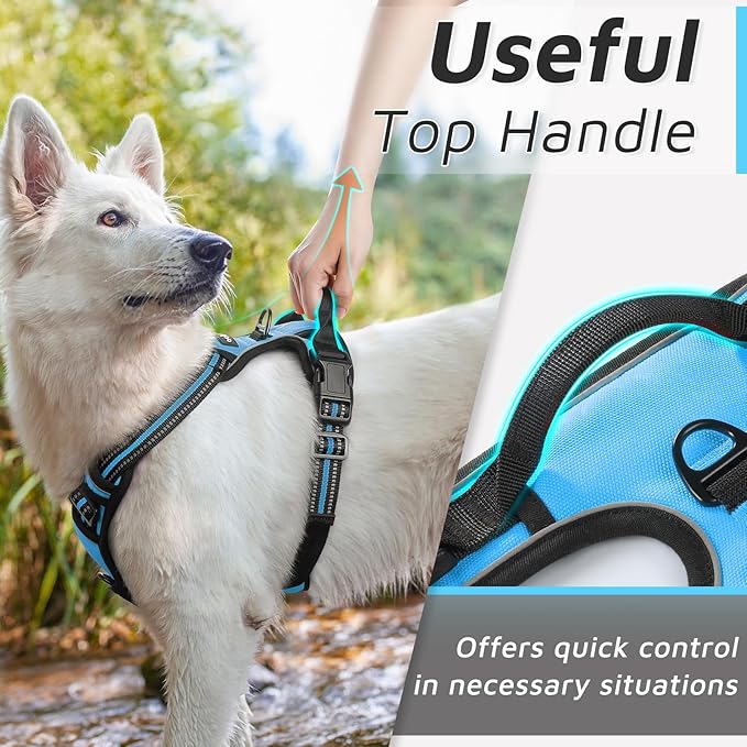 Eagloo Dog Harness for Large Dogs, No Pull Service Vest with Reflective Strips and Control Handle, Adjustable and Comfortable for Easy Walking, No Choke Pet Harness with 2 Metal Rings, Sky Blue, L GoExplorewithEagloo