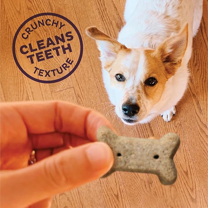 Wellness Old Mother Hubbard Classic P-Nuttier Natural Dog Treats, Crunchy Oven-Baked Biscuits, Ideal for Training, Small Size, 20 ounce bag - PAWPICO