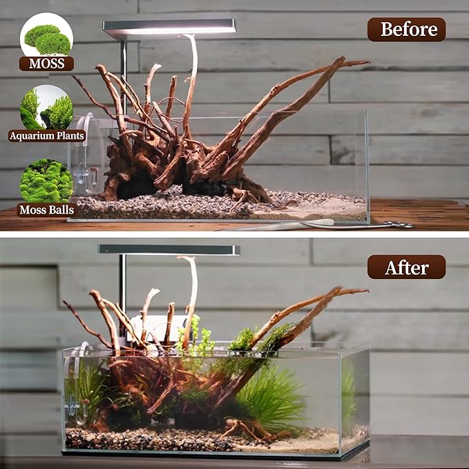 majoywoo Natural Large Driftwood for Aquarium Decor Reptile Decor, Assorted Spider Wood Branch 11-14" 2 Pcs, Fish Tank Decoration Majoywoo