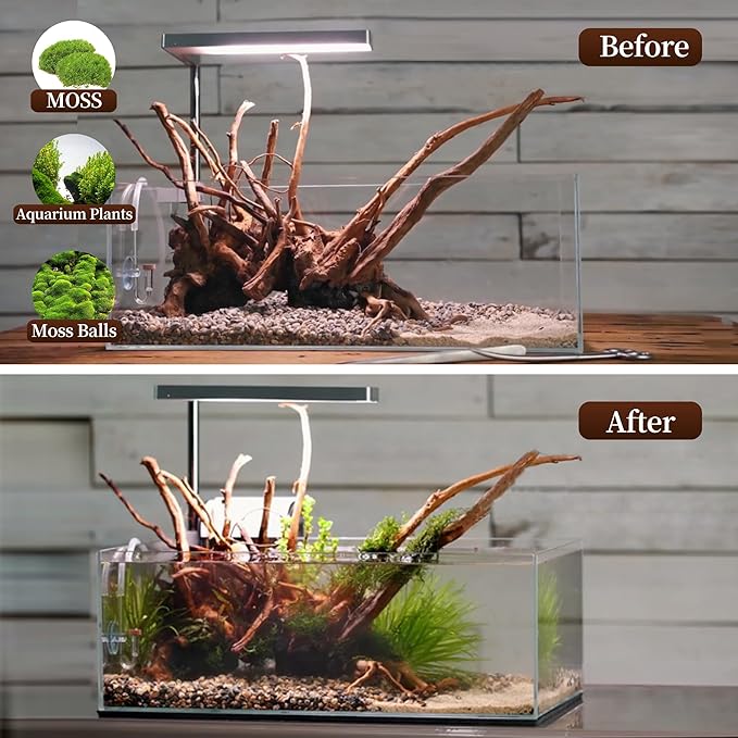 majoywoo Natural Driftwood for Aquarium Decor Fish Tank Decorations, Assorted Spider Wood Branch 7-11" 3 Pcs, Reptile Decor Majoywoo