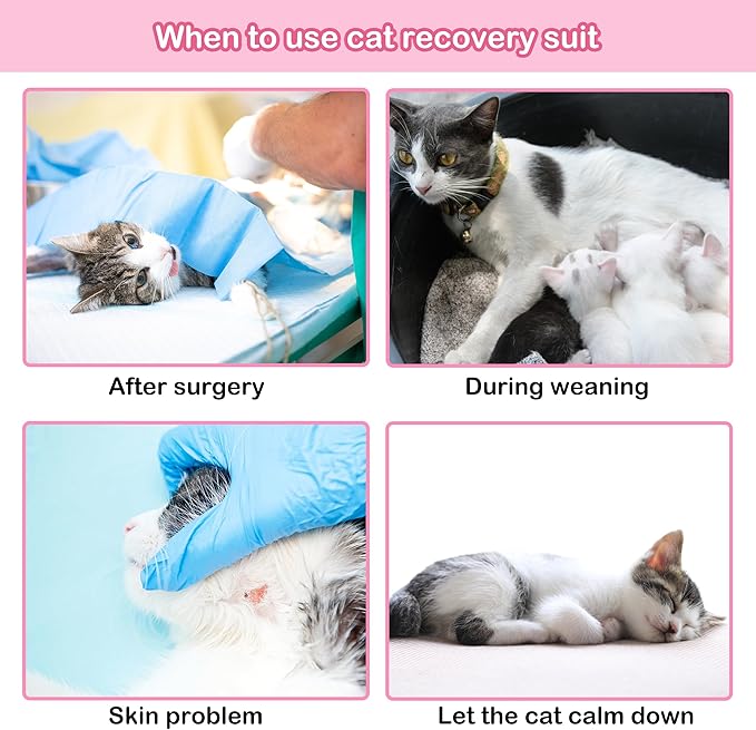 PUMYPOREITY Cat Recovery Suit, Cat Surgery Recovery Suit Female, Cat Spay Recovery Suit, Alternative to Cone of Shame, Cat Surgical Recovery Suit for Skin Diseases and Abdominal Wound, Purple, S PUMYPOREITY