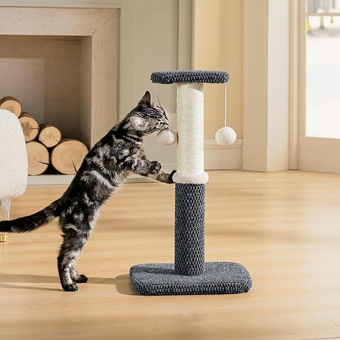 Lesure Cat Scratching Post for Indoor Cats - Highly Resistant Carpet Scratch Posts, Premium Sisal Rope Scratch Posts for Kittens, Sturdy Small Cat Scratch Pole with Hanging Ball, Grey(22.5 inch) - PAWPICO