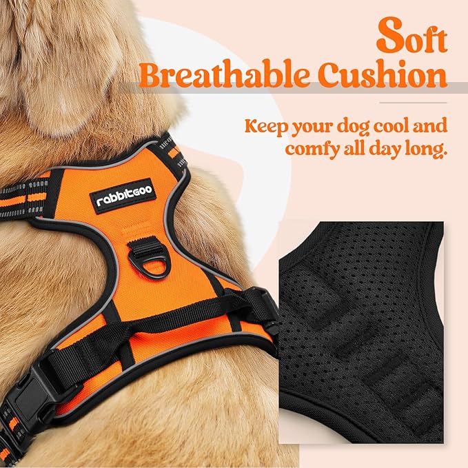 rabbitgoo Dog Harness No Pull with 2 Leash Clips, Adjustable Soft Padded, Reflective Oxford No Choke Pet Vest with Easy Control Handle for Small Dogs,Orange,S rabbitgoo