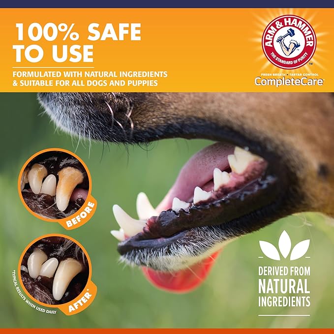 Arm & Hammer Complete Care Enzymatic Dog Toothpaste, 6.2 oz - Dog Toothpaste for Puppies and Adult Dogs, Toothpaste for Dogs - Pet Toothpaste, Dog Dental Care and Clean Dog Teeth - 48 Pack ARMHAMMER