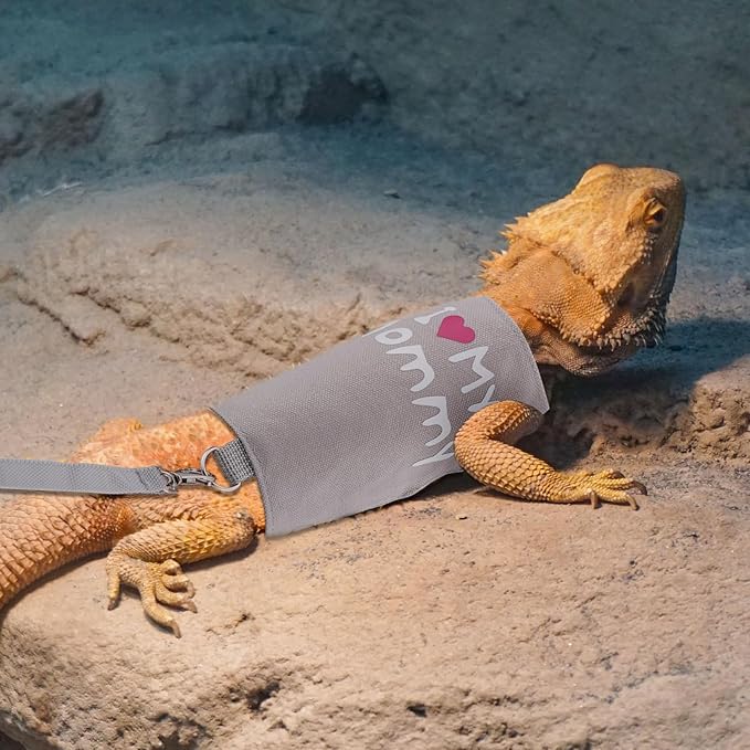 Bearded Dragon Leash and Harness Set, Cute Adjustable Lizard Reptile Harness Costume Clothes with Short Leash for Small Pets Animal Amphibians Chameleons Accessories Outdoor Walking (Style A, Gray) PAWPICO