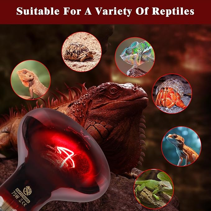 Reptile Heat Lamp,75W Red Basking Spot Lamp Bulb for Chickens Amphibians, Infrared Heat Emitter Light for Coop REPTIHOME