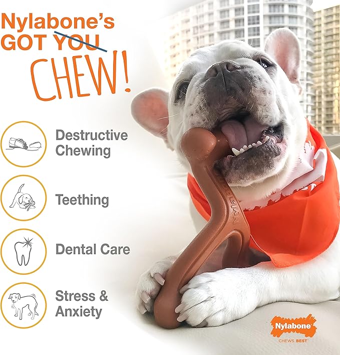 Nylabone Power Chew Flavor Frenzy Bone Chew Toy for Dogs, Indestructible Chew Toys for Aggressive Chewers, Funnel Cake & Shish Kabob Flavor, Large/Giant - Up to 50 lbs. (2 Count) - PAWPICO