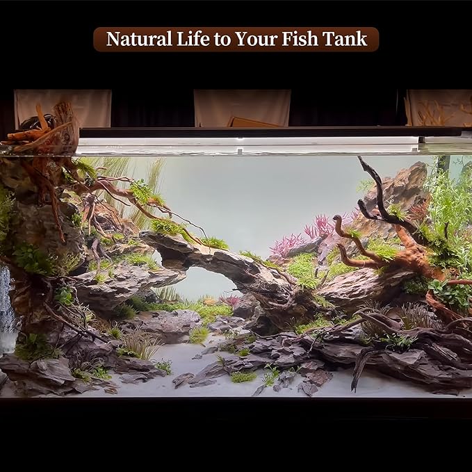 majoywoo Natural Large Driftwood for Aquarium Decor Reptile Decor, Assorted Spider Wood Branch 11-14" 2 Pcs, Fish Tank Decoration Majoywoo