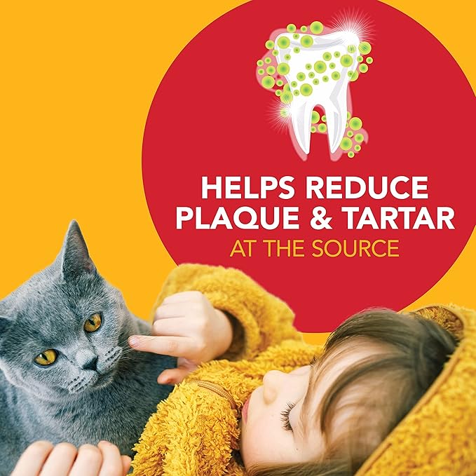 Petrodex Dental Care Kit for Cats, Cat Toothbrush and Toothpaste, Cleans Teeth and Fights Bad Breath, Reduces Plaque Tartar Formation, Malt Flavor, 2.5oz Toothpaste + Toothbrush Petrodex