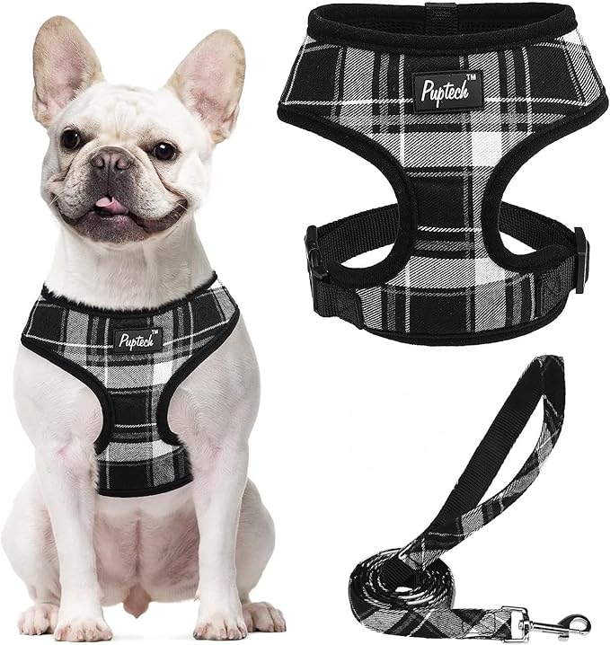 PUPTECK Soft Mesh Dog Harness and Leash Set Pet Puppy Cat Comfort Padded Vest No Pull Harnesses, Black, L PUPTECK