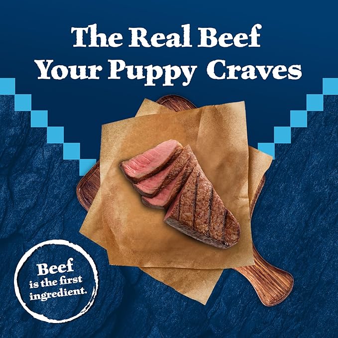 Blue Buffalo Wilderness High-Protein Rocky Mountain Recipe Dry Food for Puppies, Red Meat & Grains, 4.5-lb. Bag - PAWPICO