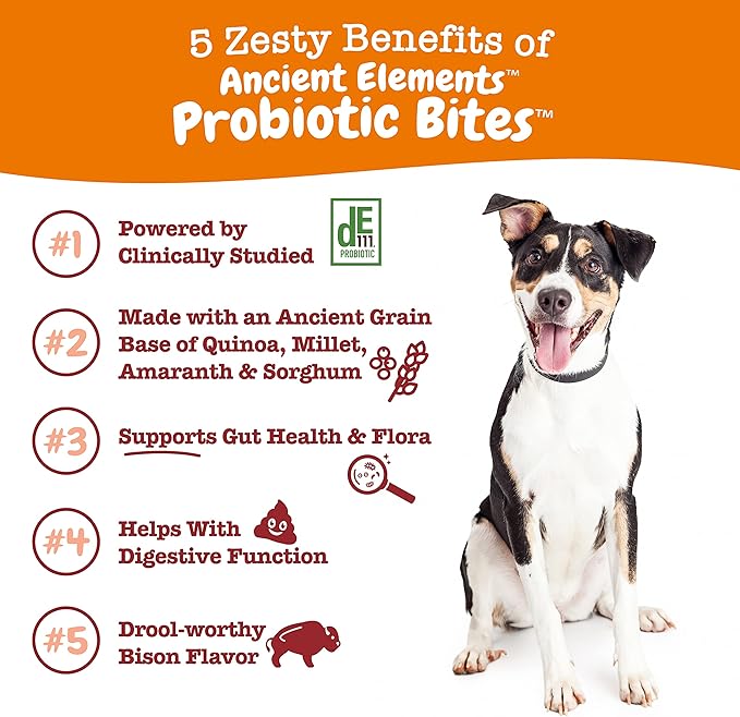 Zesty Paws Probiotics for Dogs - Digestive Enzymes for Gut Flora, Digestive Health, Diarrhea & Bowel Support - Clinically Studied DE111 - Dog Supplement Soft Chew for Pet Immune System - AE, 90 Ct ZestyPaws