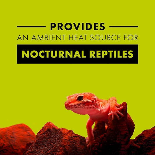 Zilla Incandescent Bulb, Night Red, Ideal for Nocturnal Reptile Species Zilla