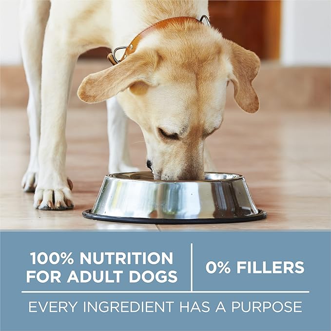 Purina ONE Plus Joint Health Formula Natural With Added Vitamins, Minerals and Nutrients Dry Dog Food - 31.1 lb. Bag - PAWPICO