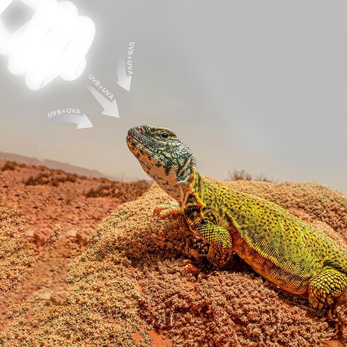 10.0 UVB Reptile Light 26W, Compact Desert Lamp, Coil UVB Bulb for Bearded Dragons, Lizards, Snakes, Geckos, Amphibians – Lighting for Habitat Tank, Pet Terrarium & Large Reptile Cage HARTOMPET