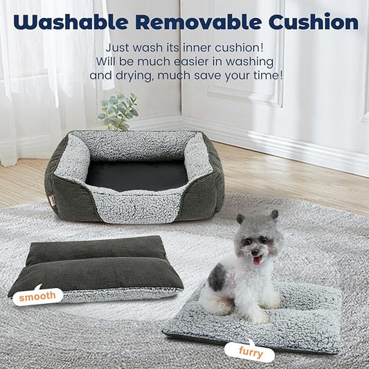 Miguel Washable Cat Beds for Indoor Cats with Removable Cushion, Easy to Wash Small Pet Sofa Bed with Side, Rectangle Bolster Kitten Bed Calming Cuddle Puppy Bed with Anti-Slip Bottom, Gray 20 Inch - PAWPICO