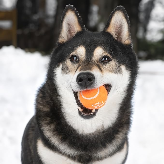 Best Pet Supplies Squeaky Tennis Toys for Dogs, 8-Pack, Heavy-Duty Interactive Pet Toys for Throwing and Fetching, Supports Exercise and Natural Behavior Training, Durable - Small - PAWPICO