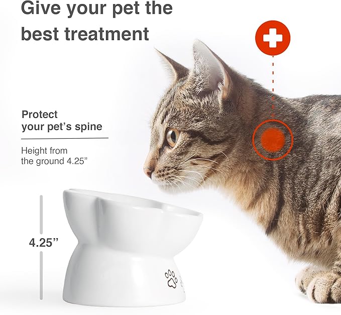 Kaiikai’s Slow Feeder Dog Bowls and Cat Food Bowl 15 oz Ceramic Dog Water Bowl Elevated Slow Feeder Dog Food Bowls Slow Feeder Cat Bowl Small Dog Slow Feeder Bowl for Dry and Wet Food Puppy Supplies - PAWPICO