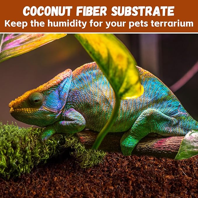 Legigo 6 Pack Compressed Coconut Fiber Substrate - 100% Organic Coconut Fiber Brick Bedding for Reptiles, Natural Coco Husk Substrate Terrarium Bedding for Snake, Hermit Crabs, Frogs, Tortoise, Gecko Legigo