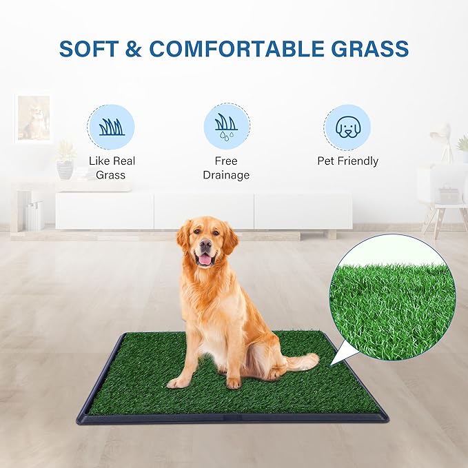 Artificial Grass for Dog Potty – 20x25 inch,Strong Absorbency Grass Pad, Dog Grass Pad with Tray, Dog Potty Training Pad, Dog Litter Box with Grass (Medium) - PAWPICO