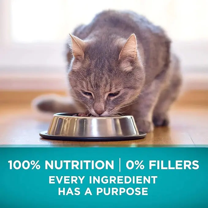 Purina ONE Natural, High Protein, Grain Free Dry Cat Food, True Instinct With Real Chicken - 3.2 lb. Bag - PAWPICO