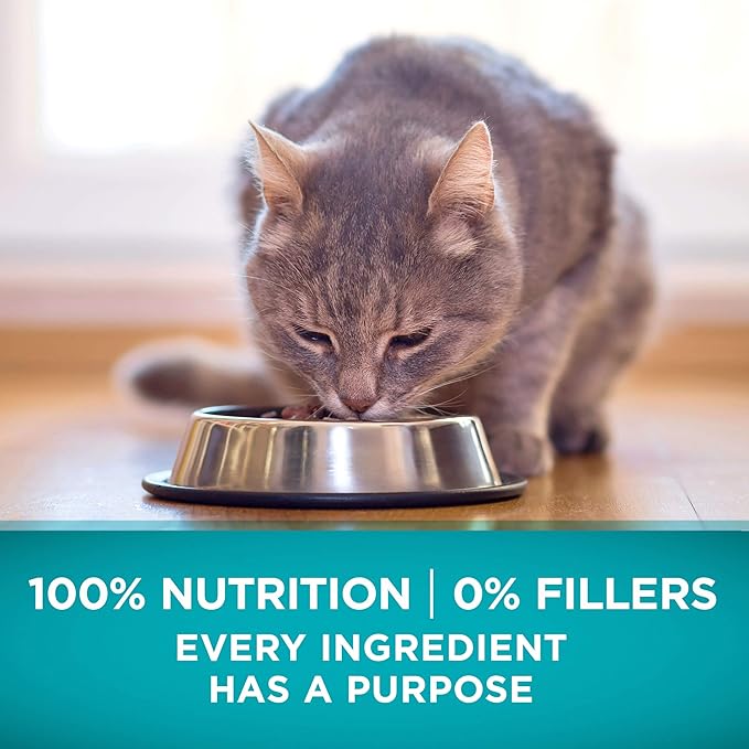 Purina ONE Natural, High Protein, Grain Free Dry Cat Food, True Instinct With Real Chicken - 3.2 lb. Bag - PAWPICO