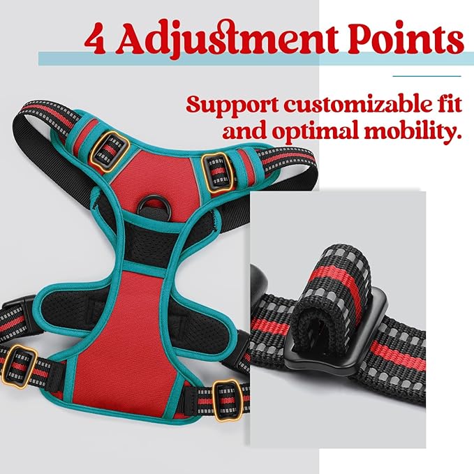 rabbitgoo Dog Harness, No-Pull Pet Harness with 2 Leash Clips, Adjustable Soft Padded Dog Vest, Reflective No-Choke Pet Oxford Vest with Easy Control Handle for Large Dogs, Red & Teal, L - PAWPICO